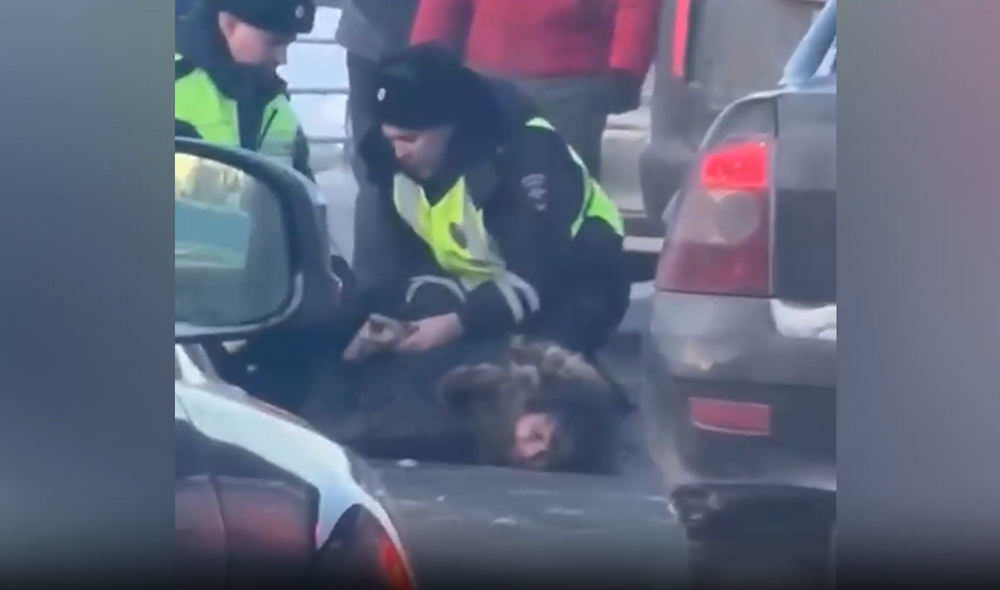 Погоня и её последствия в Чувашии. Видео © Telegram / "ДТП и ЧП Чебоксары"