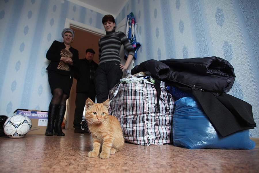Фото cat4you.ru