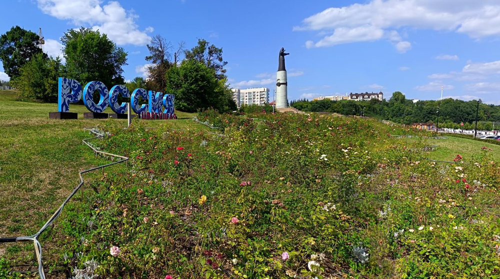В столице Чувашии клумбу из 16 тысяч роз превратили в гербарий