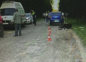 Фото: ГУ МВД России по Нижегородской области