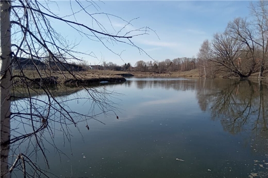 С начала года гибель рыбы зафиксировали в семи водоемах Чувашии