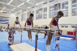 https://gimnast.cap.ru