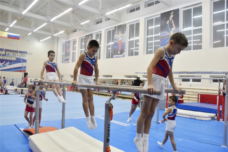 https://gimnast.cap.ru