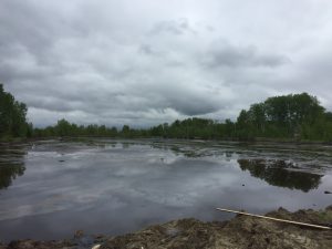 Фото межрегионального управления Росприроднадзора по Нижегородской области и Республике Мордовия