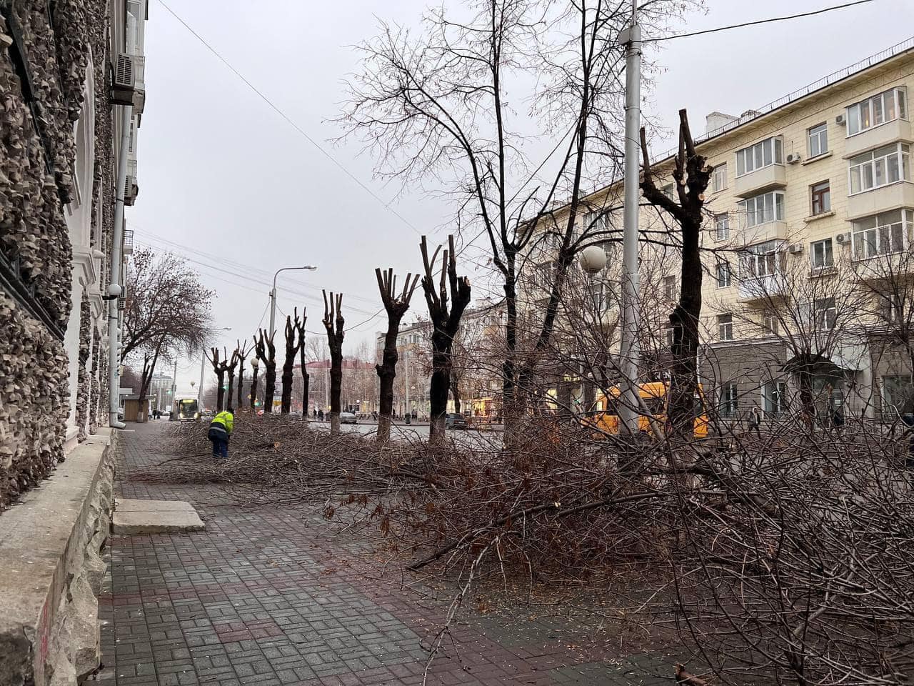 На обвинения в вырубке деревьев Мавлиев ответил расширением «АРТ-квадрата»