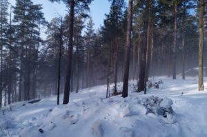 Фото pravdapfo.ru