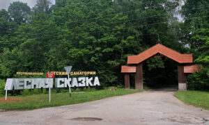 Правительство Чувашии вместо отчетов представляло в Москву «Лесные сказки»