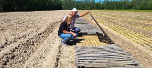 В 2022 году в Чувашии планируют восстановить более 820 га леса