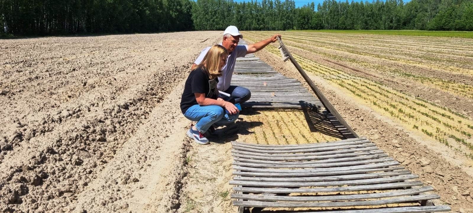 В 2022 году в Чувашии планируют восстановить более 820 га леса
