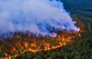 Крупный лесной пожар ликвидируют в Воротынском районе