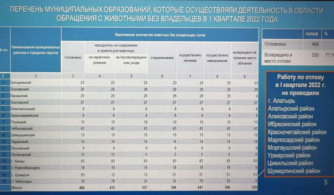 В Чувашии бродячих животных ждет цифровой отлов 