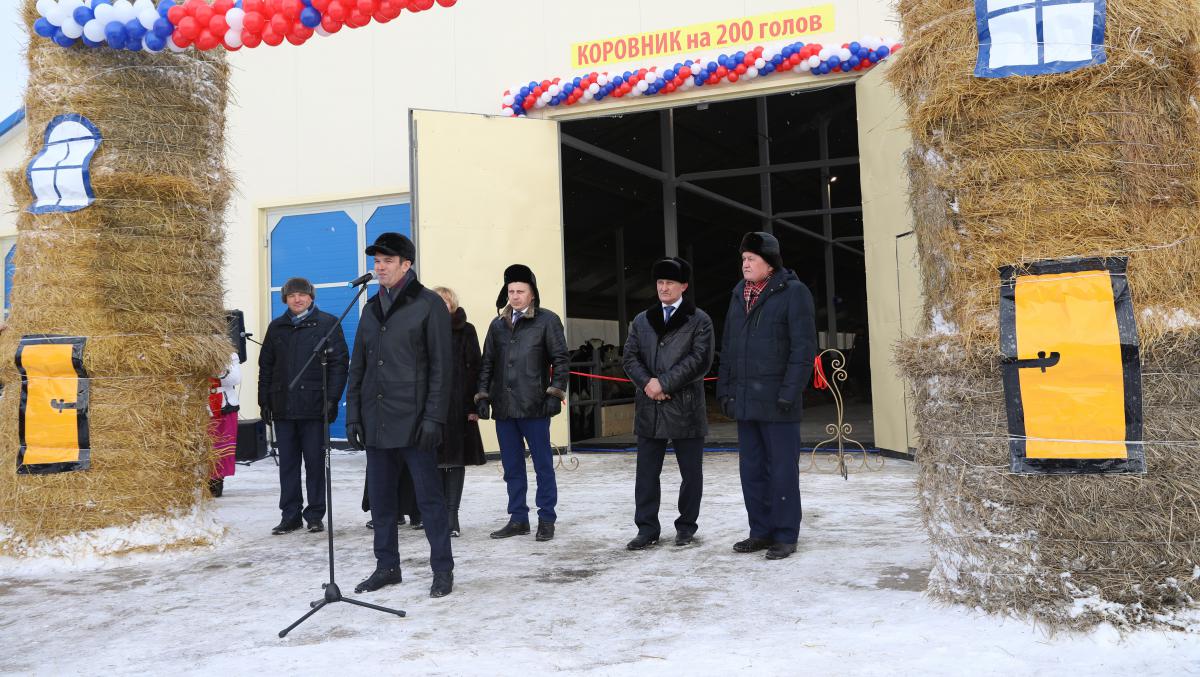 Коровник на 200 голов