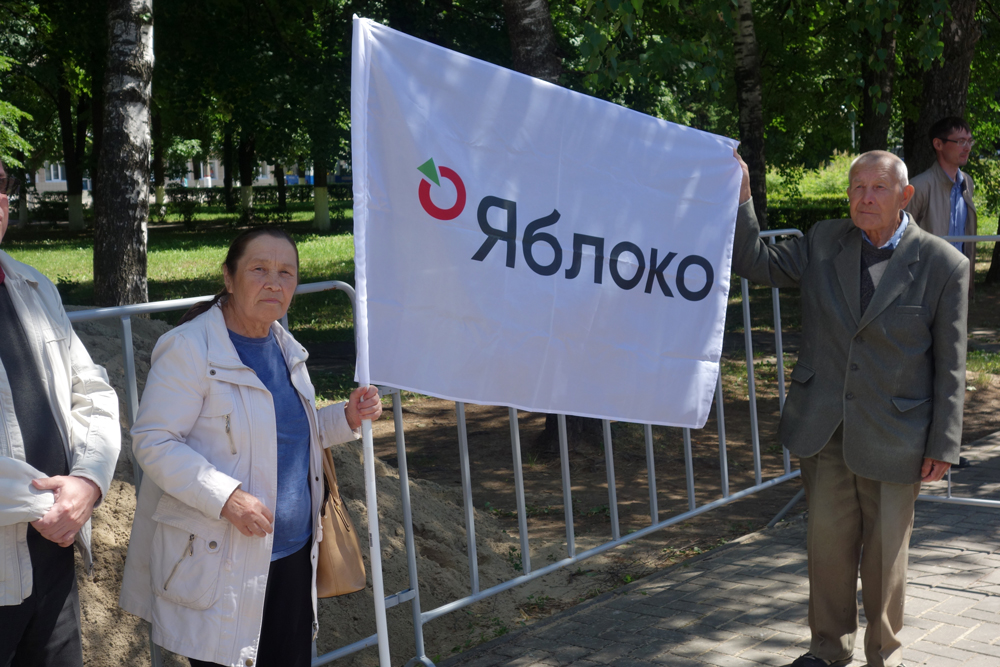 Митинг «Яблока» в поддержку медиков в Чебоксарах