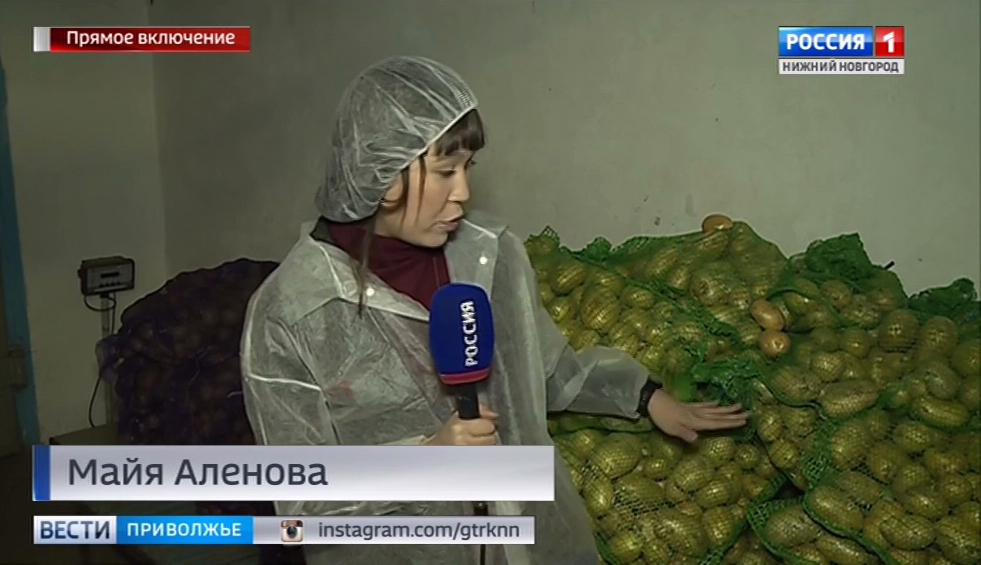 Закупки УФАС – притча во языцах