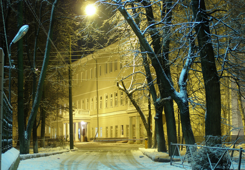 Нижегородская консерватория пока музицирует без клироса. Фото Ирины Преображенской