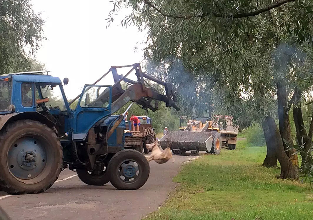 Рындино